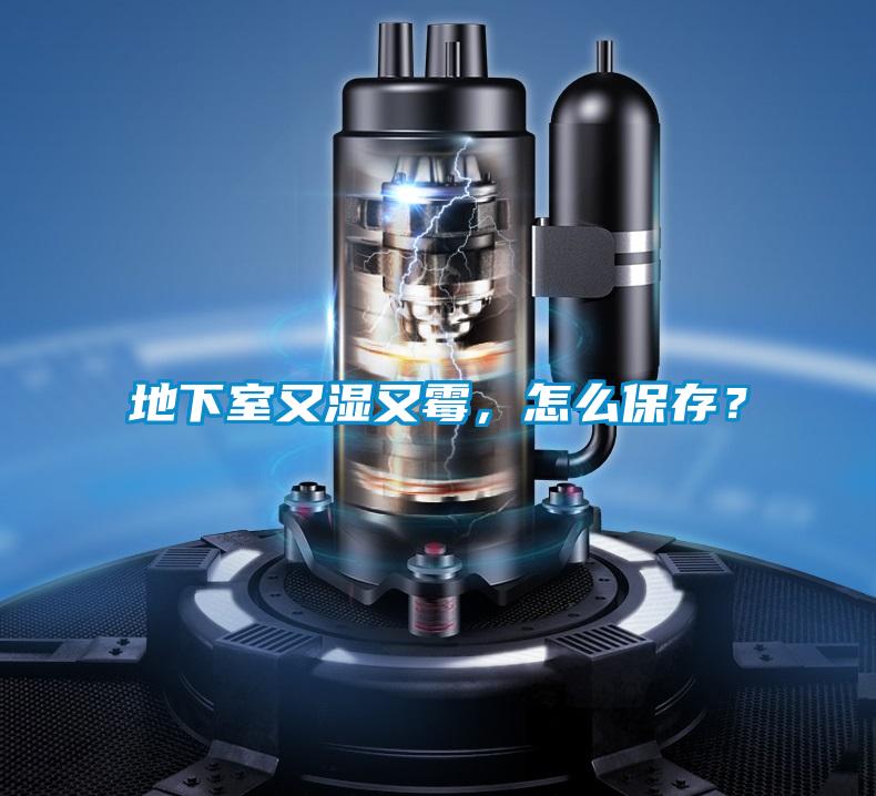 地下室又濕又霉，怎么保存？