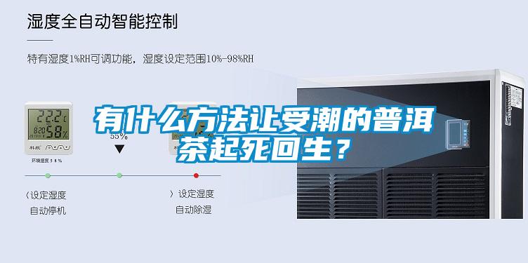 有什么方法讓受潮的普洱茶起死回生？