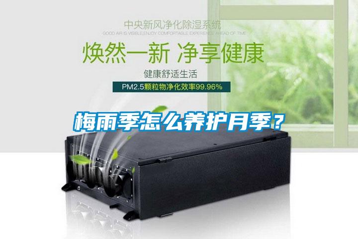 梅雨季怎么養(yǎng)護(hù)月季？
