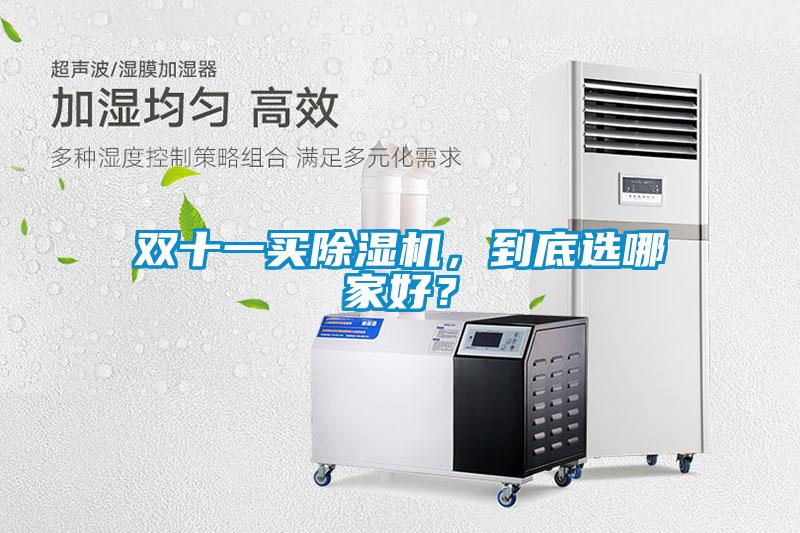 雙十一買除濕機(jī)，到底選哪家好？