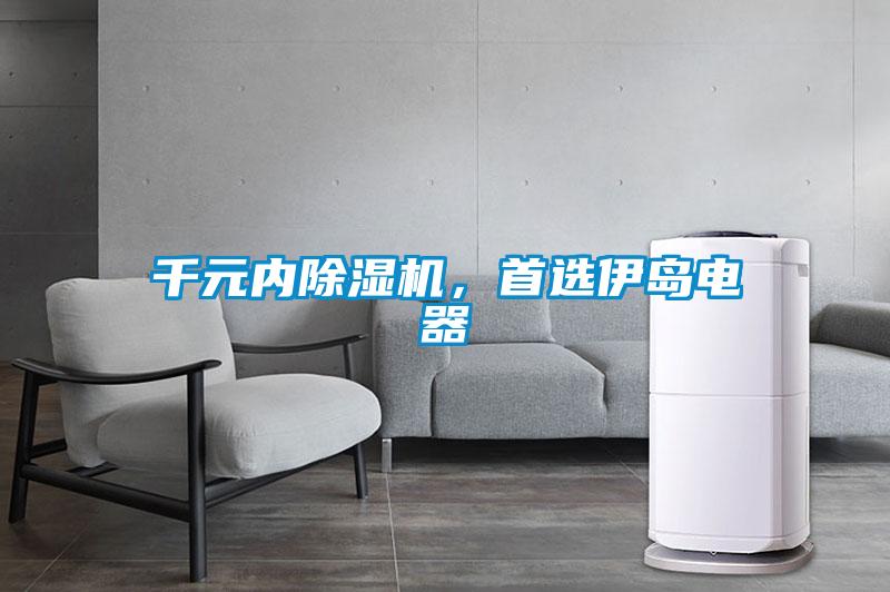 千元內(nèi)除濕機(jī)，首選伊島電器