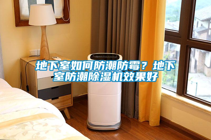地下室如何防潮防霉？地下室防潮除濕機(jī)效果好