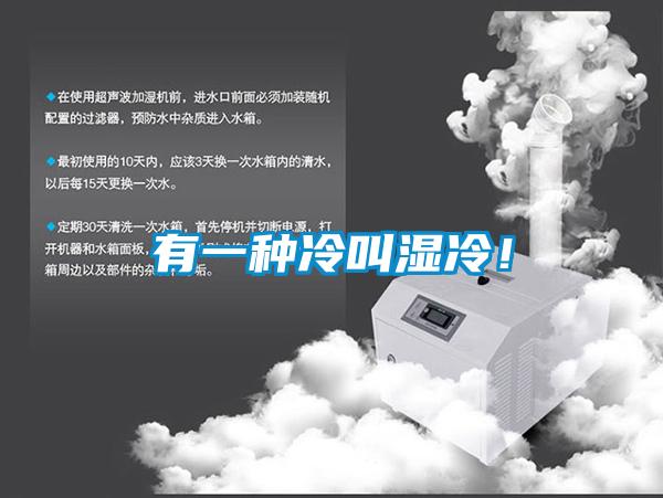 有一種冷叫濕冷！