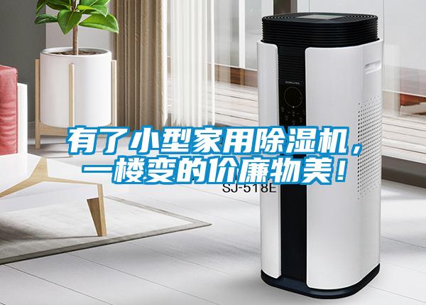 有了小型家用除濕機，一樓變的價廉物美！