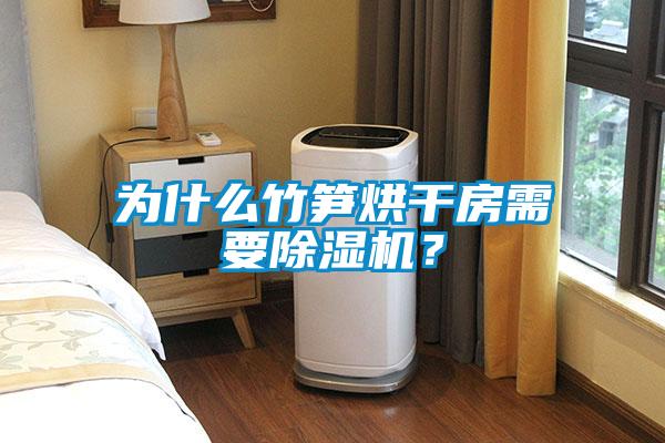 為什么竹筍烘干房需要除濕機(jī)？