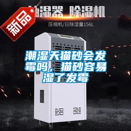 潮濕天貓砂會發(fā)霉嗎，貓砂容易濕了發(fā)霉