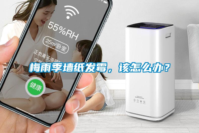 梅雨季墻紙發(fā)霉，該怎么辦？