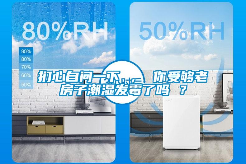捫心自問一下 ， 你受夠老房子潮濕發(fā)霉了嗎 ？