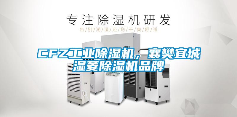 CFZ工業(yè)除濕機，襄樊宜城濕菱除濕機品牌