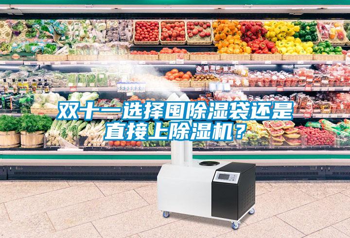 雙十一選擇囤除濕袋還是直接上除濕機？
