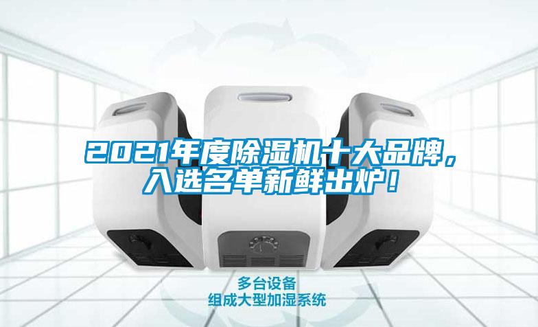 2021年度除濕機十大品牌，入選名單新鮮出爐！