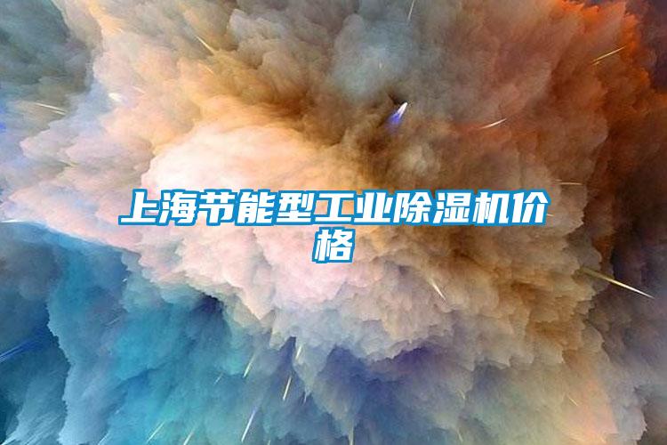 上海節(jié)能型工業(yè)除濕機(jī)價格