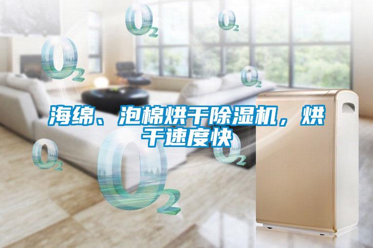 海綿、泡棉烘干除濕機(jī)，烘干速度快