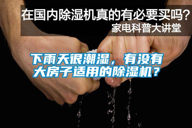 下雨天很潮濕，有沒有大房子適用的除濕機(jī)？