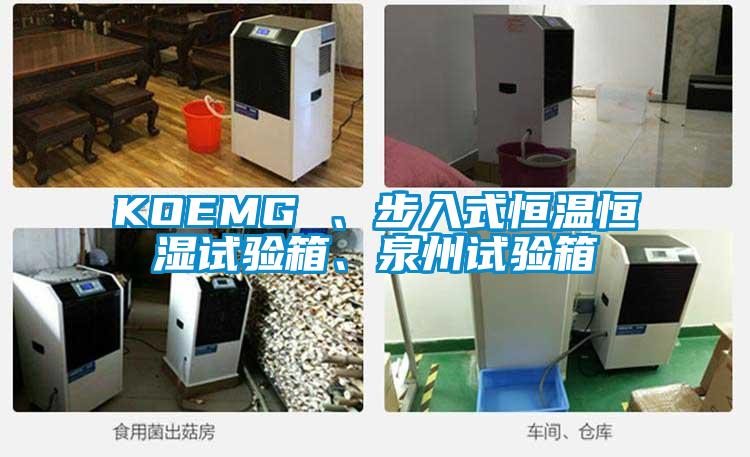 KOEMG 、步入式恒溫恒濕試驗箱、泉州試驗箱