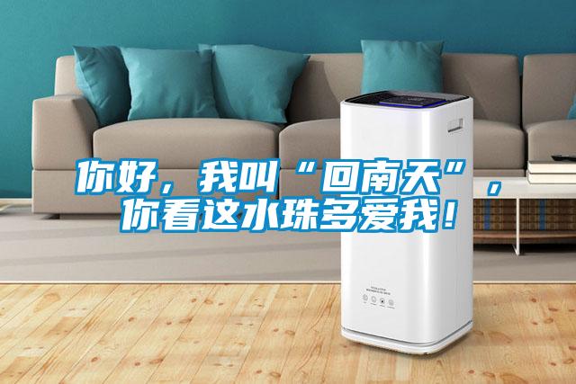你好，我叫“回南天”，你看這水珠多愛我！
