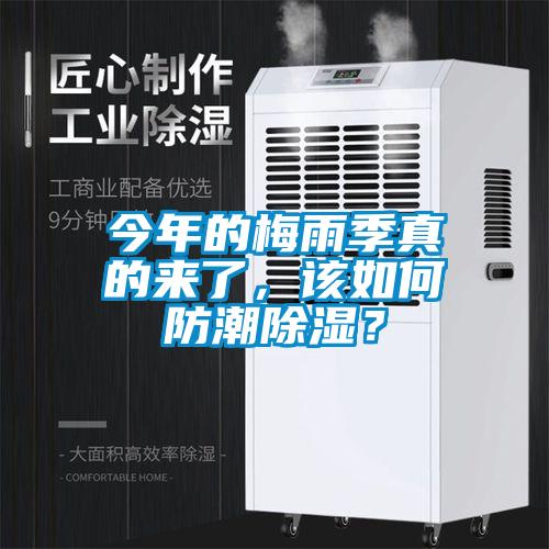 今年的梅雨季真的來了，該如何防潮除濕？