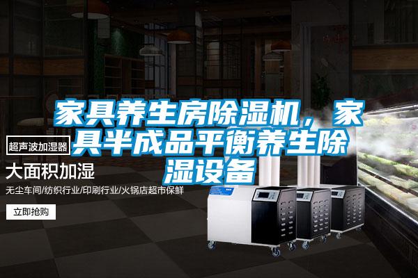 家具養(yǎng)生房除濕機，家具半成品平衡養(yǎng)生除濕設(shè)備