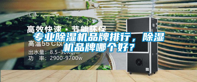 專業(yè)除濕機(jī)品牌排行，除濕機(jī)品牌哪個(gè)好？