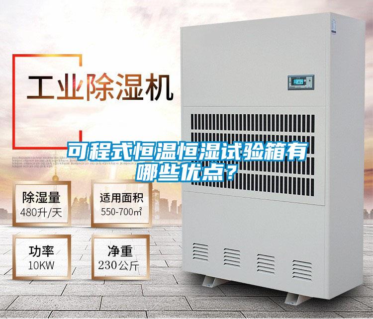 可程式恒溫恒濕試驗箱有哪些優(yōu)點？