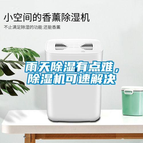 雨天除濕有點難，除濕機可速解決