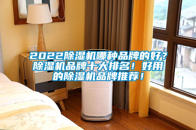 2022除濕機(jī)哪種品牌的好？除濕機(jī)品牌十大排名！好用的除濕機(jī)品牌推薦！