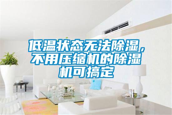 低溫狀態(tài)無法除濕，不用壓縮機的除濕機可搞定