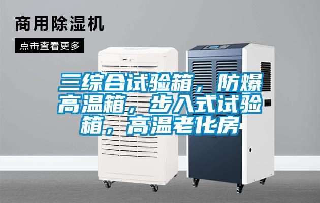 三綜合試驗(yàn)箱，防爆高溫箱，步入式試驗(yàn)箱，高溫老化房