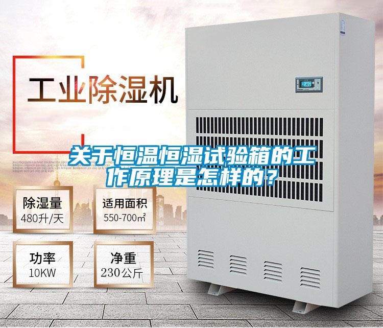 關(guān)于恒溫恒濕試驗箱的工作原理是怎樣的？