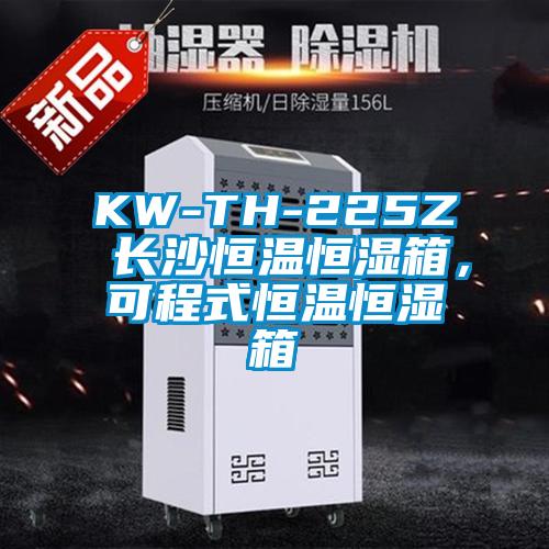 KW-TH-225Z 長沙恒溫恒濕箱，可程式恒溫恒濕箱