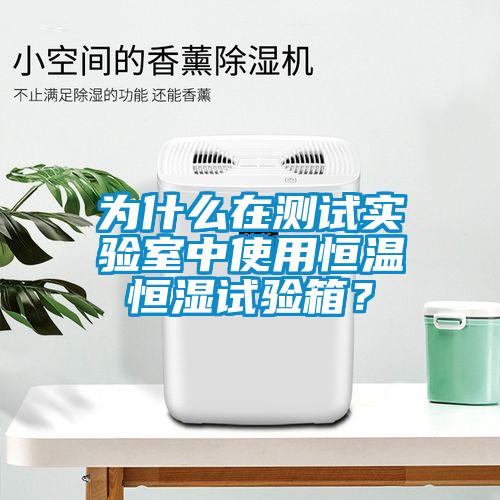 為什么在測(cè)試實(shí)驗(yàn)室中使用恒溫恒濕試驗(yàn)箱？