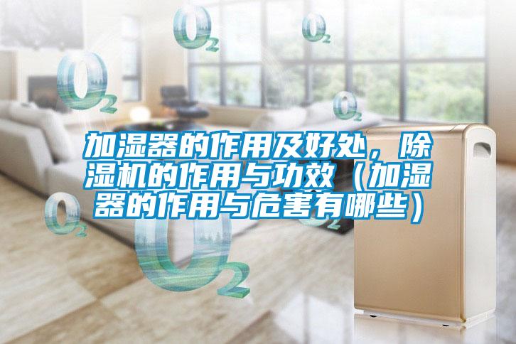 加濕器的作用及好處，除濕機(jī)的作用與功效（加濕器的作用與危害有哪些）