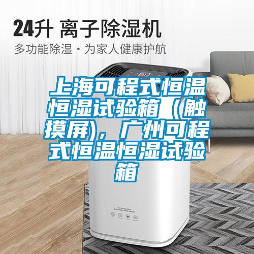 上?？沙淌胶銣睾銤裨囼?yàn)箱（觸摸屏)，廣州可程式恒溫恒濕試驗(yàn)箱
