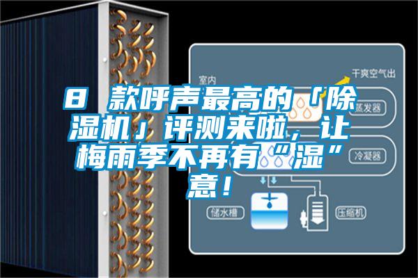 8 款呼聲最高的「除濕機(jī)」評測來啦，讓梅雨季不再有“濕”意！