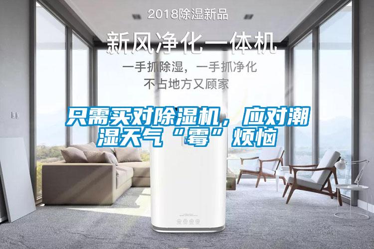 只需買對除濕機，應對潮濕天氣“霉”煩惱