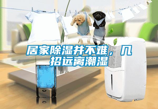 居家除濕并不難，幾招遠離潮濕