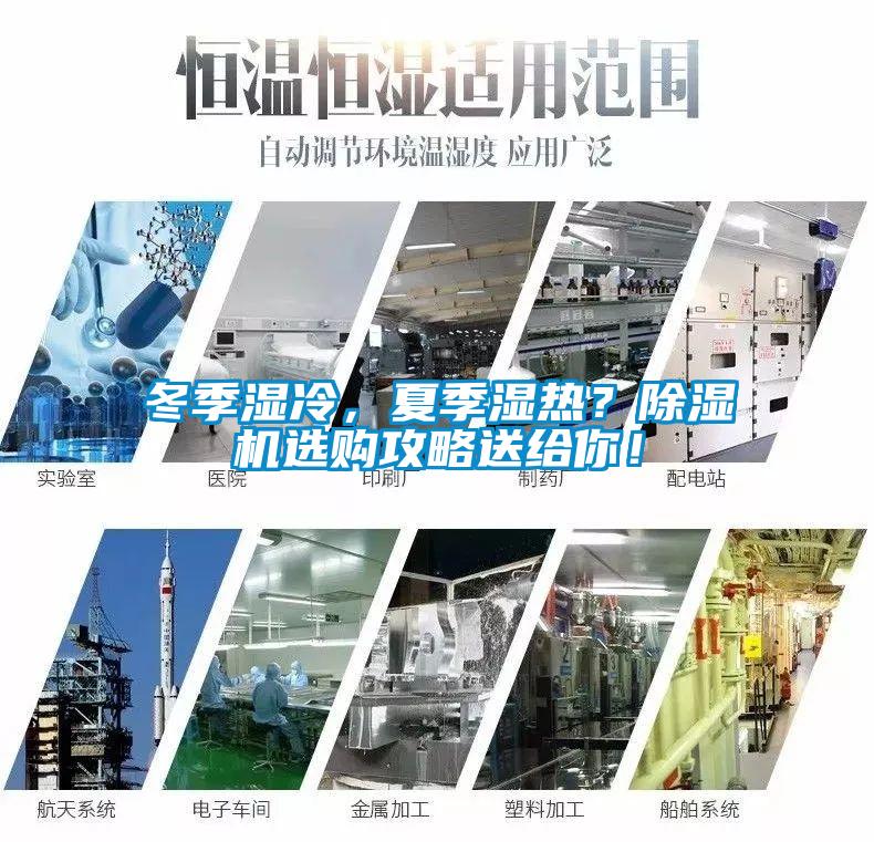 冬季濕冷，夏季濕熱？除濕機選購攻略送給你！