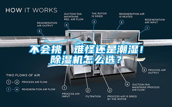 不會挑，難怪還是潮濕！除濕機(jī)怎么選？