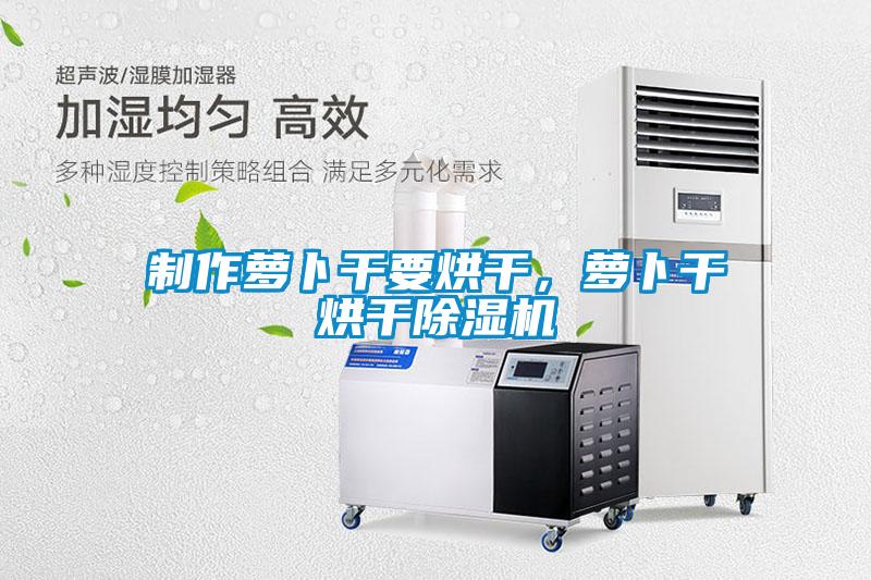 制作蘿卜干要烘干，蘿卜干烘干除濕機(jī)