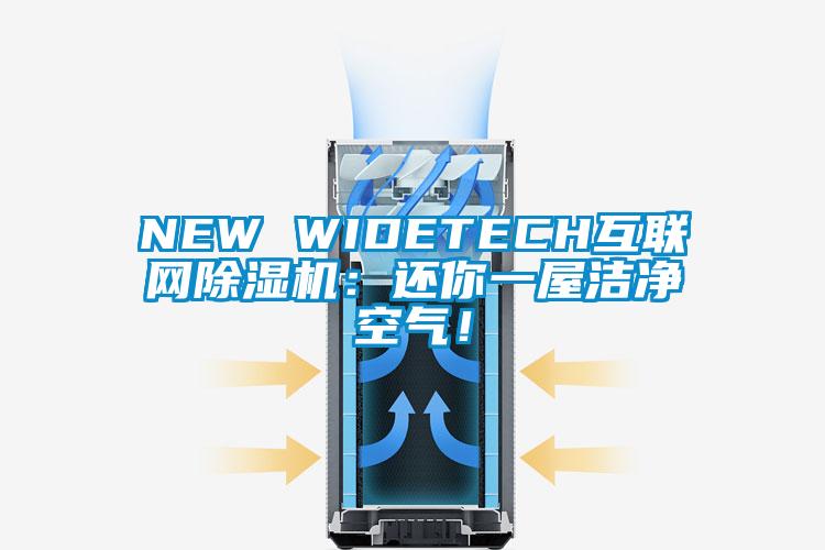 NEW WIDETECH互聯(lián)網(wǎng)除濕機(jī)：還你一屋潔凈空氣！