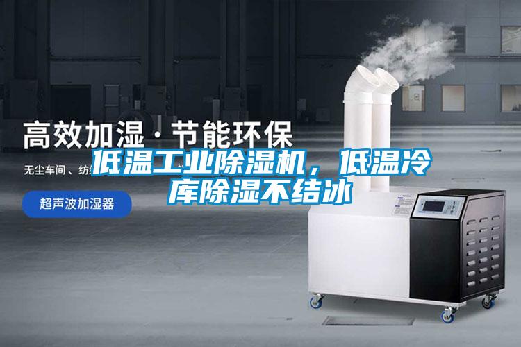 低溫工業(yè)除濕機，低溫冷庫除濕不結冰