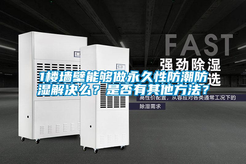 1樓墻壁能夠做永久性防潮防濕解決么？是否有其他方法？