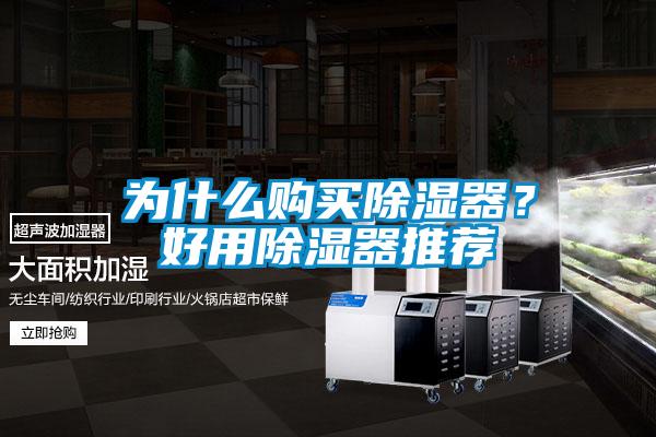 為什么購買除濕器？好用除濕器推薦
