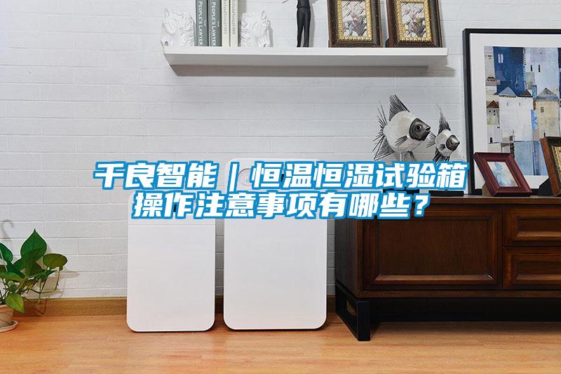 千良智能｜恒溫恒濕試驗(yàn)箱操作注意事項(xiàng)有哪些？