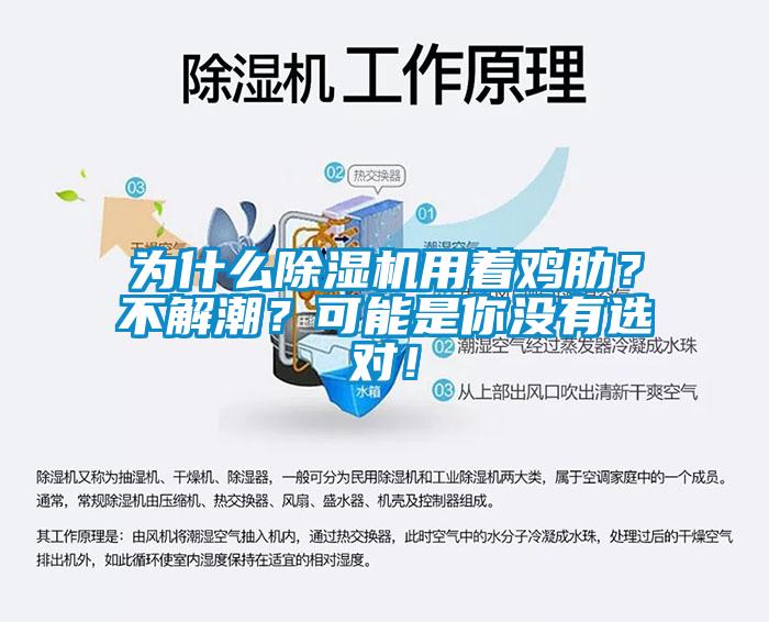 為什么除濕機(jī)用著雞肋？不解潮？可能是你沒有選對！