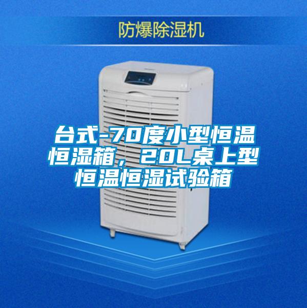 臺式-70度小型恒溫恒濕箱，20L桌上型恒溫恒濕試驗箱