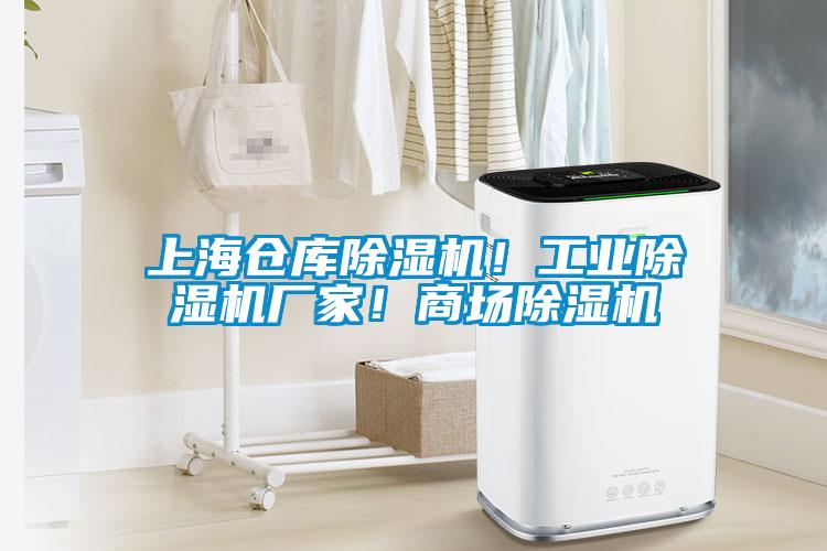 上海倉(cāng)庫(kù)除濕機(jī)！工業(yè)除濕機(jī)廠家！商場(chǎng)除濕機(jī)