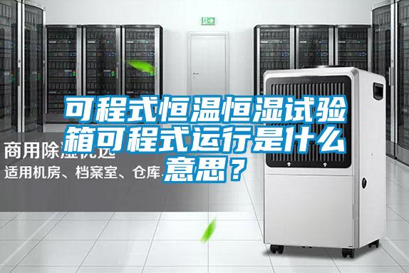 可程式恒溫恒濕試驗(yàn)箱可程式運(yùn)行是什么意思？