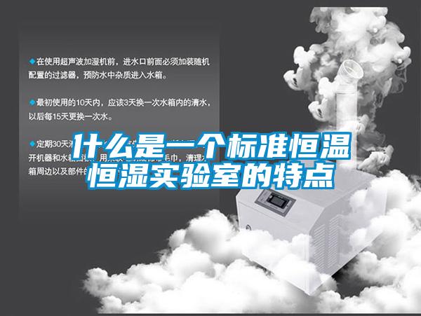 什么是一個標(biāo)準(zhǔn)恒溫恒濕實驗室的特點