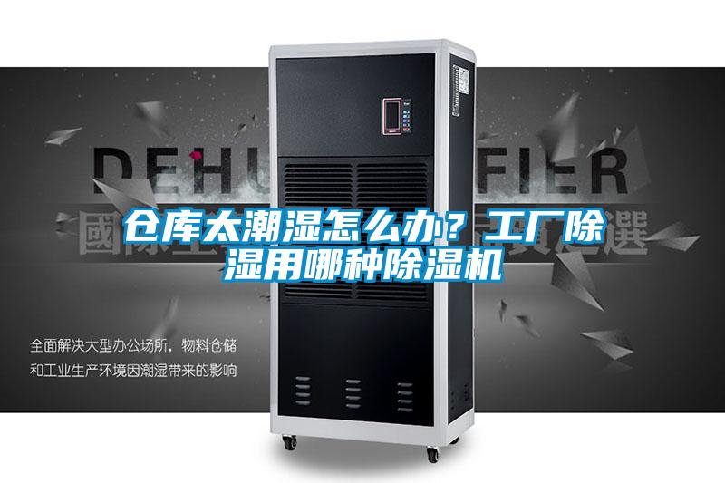 倉庫太潮濕怎么辦？工廠除濕用哪種除濕機(jī)